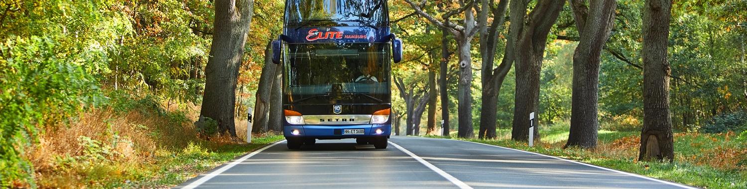 Ein Elite Doppeldecker Reisebus für 81 Personen fährt auf einer Landstraße durch einen lichtdurchfluteten Wald